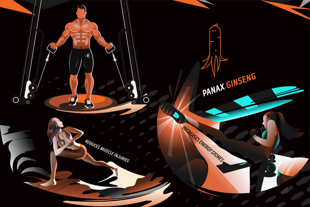 How Panax Ginseng Can Make Your Workouts Better 